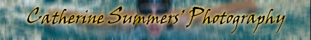 Catherine Summers' Photography