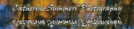 Catherine Summers' Photography