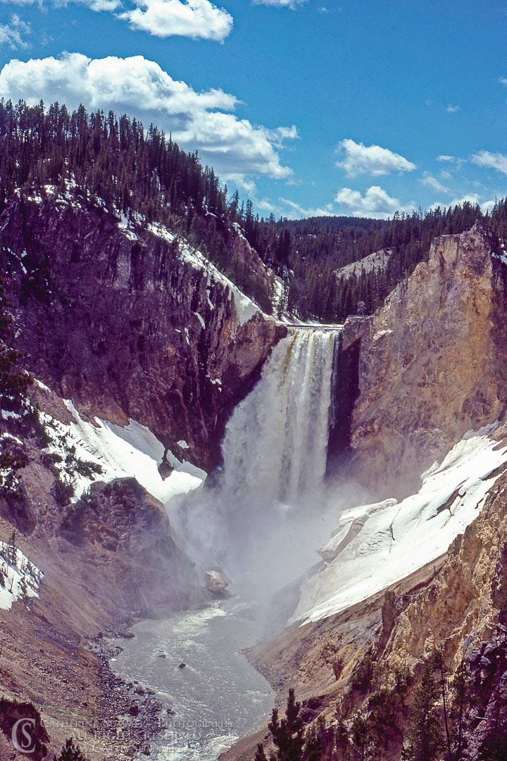 Lower Falls of the Yellowstone River: Yellowstone National Park