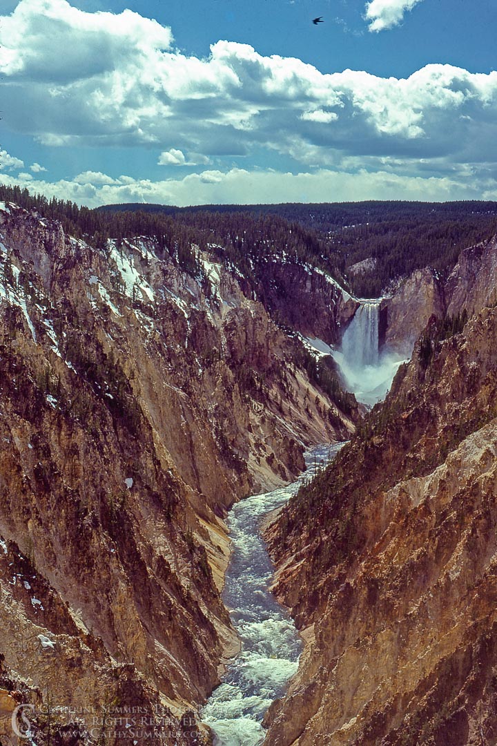 Lower Falls of the Yellowstone River and Grand Canyon of the Yellowstone: Yellowstone National Park