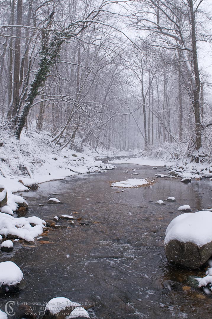 Snowy Morning on Four Mile Run #1: Arlington County, Virginia