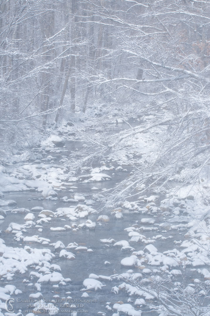 Blowing Snow Along Four Mile Run: Arlington County, Virginia