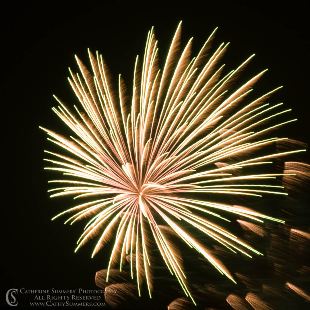 Fireworks 2009 #1: Washington, DC