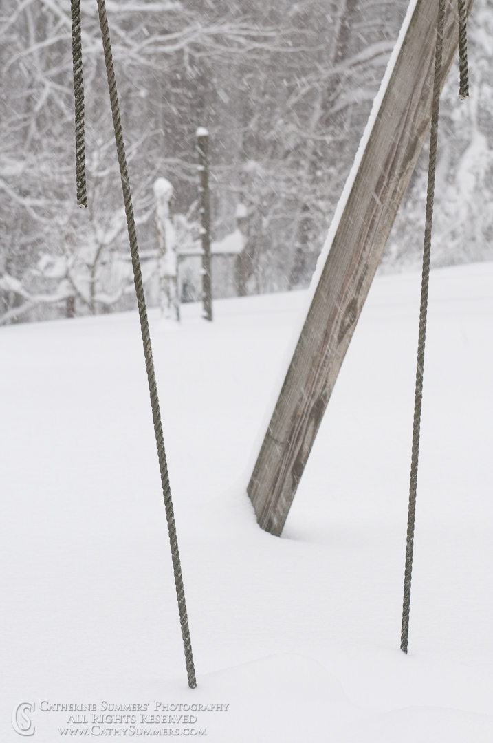 Silent Swing #2 During the Blizzard: Virginia