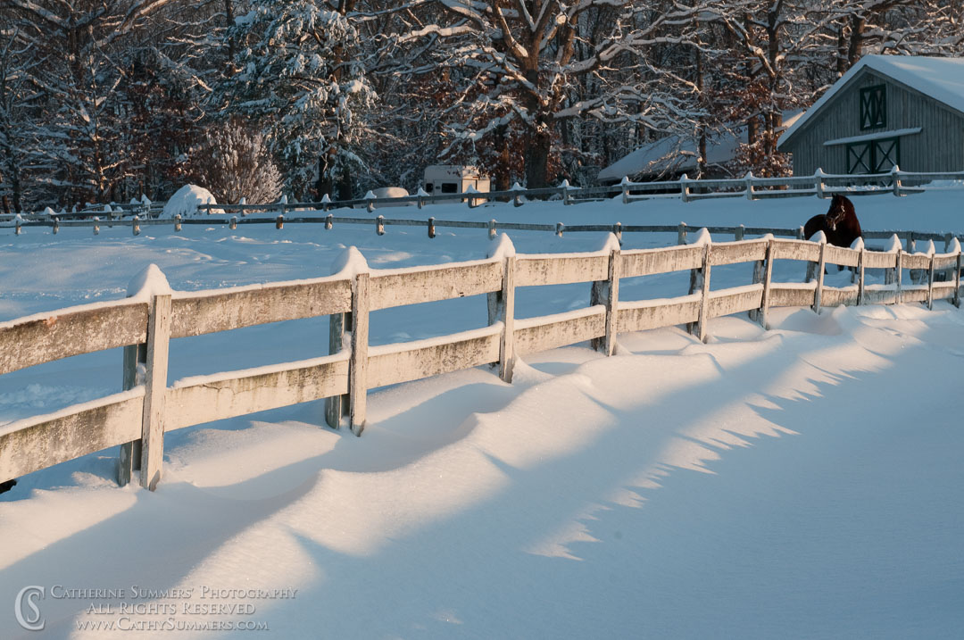 Fence in the Snow #2: Virginia