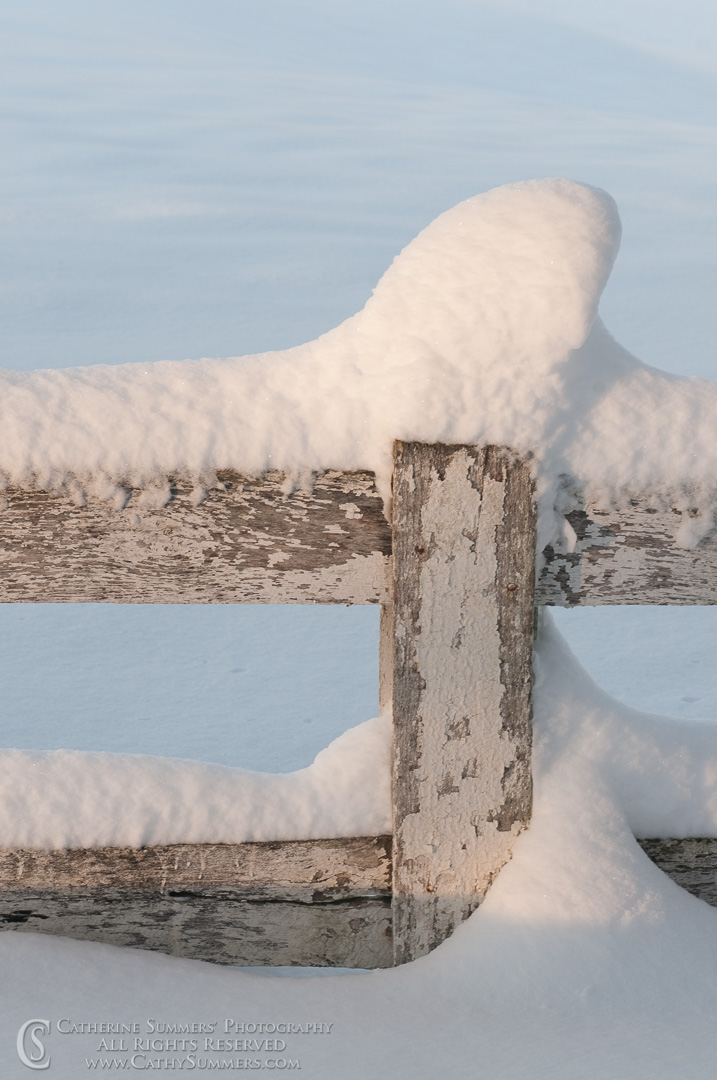 Title: Fence in the Snow #3; Keywords: Albemarle, Knole, snow, fence