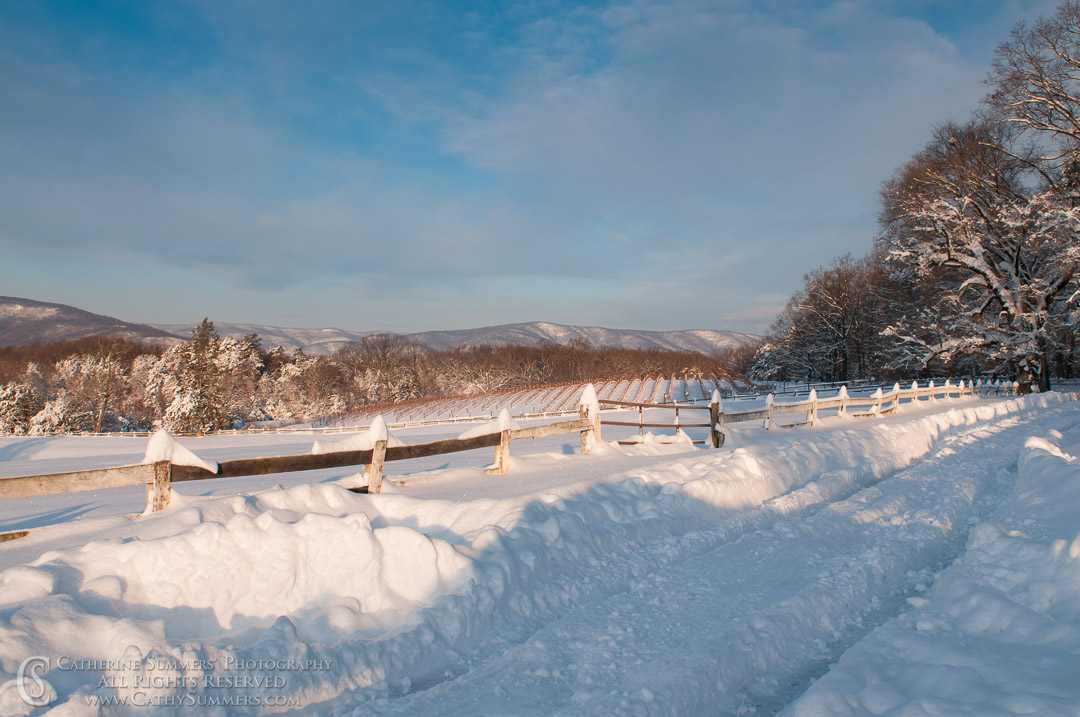20091220_054: horizontal, fence, snow, Albemarle, Blue Ridge Mountains, Knole, driveway, road