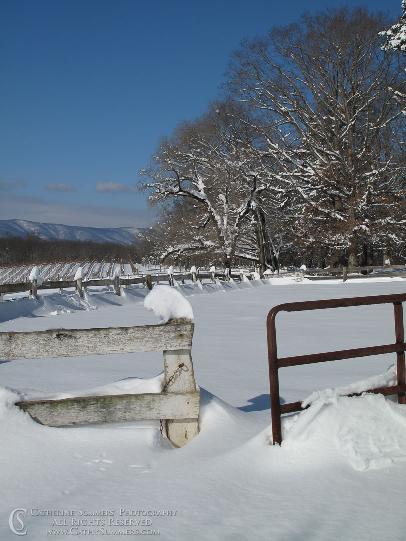 Paddock Gate Burried in the Snow: Virginia