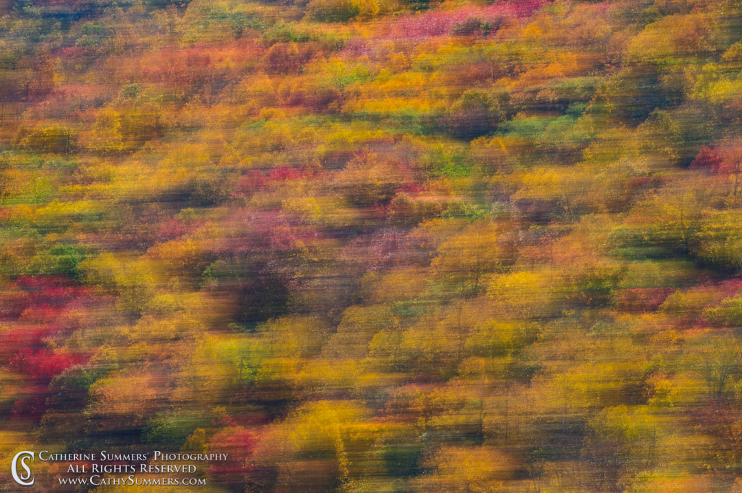 Fall Colors - Panning Blur #1: Shenandoah National Park, Virginia