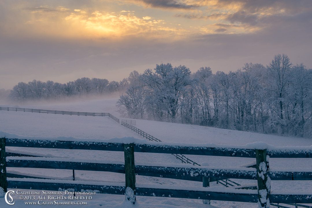 Snowy Morning at the Farm: Albemarle County, Virginia
