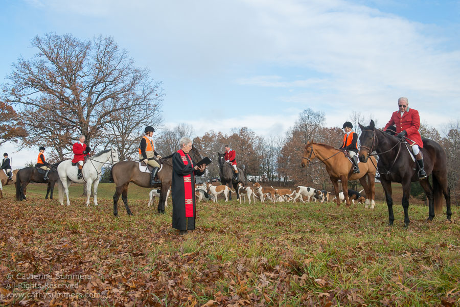 20141127_034: hounds, Huntsman, blessing the hounds, Matthew Cook