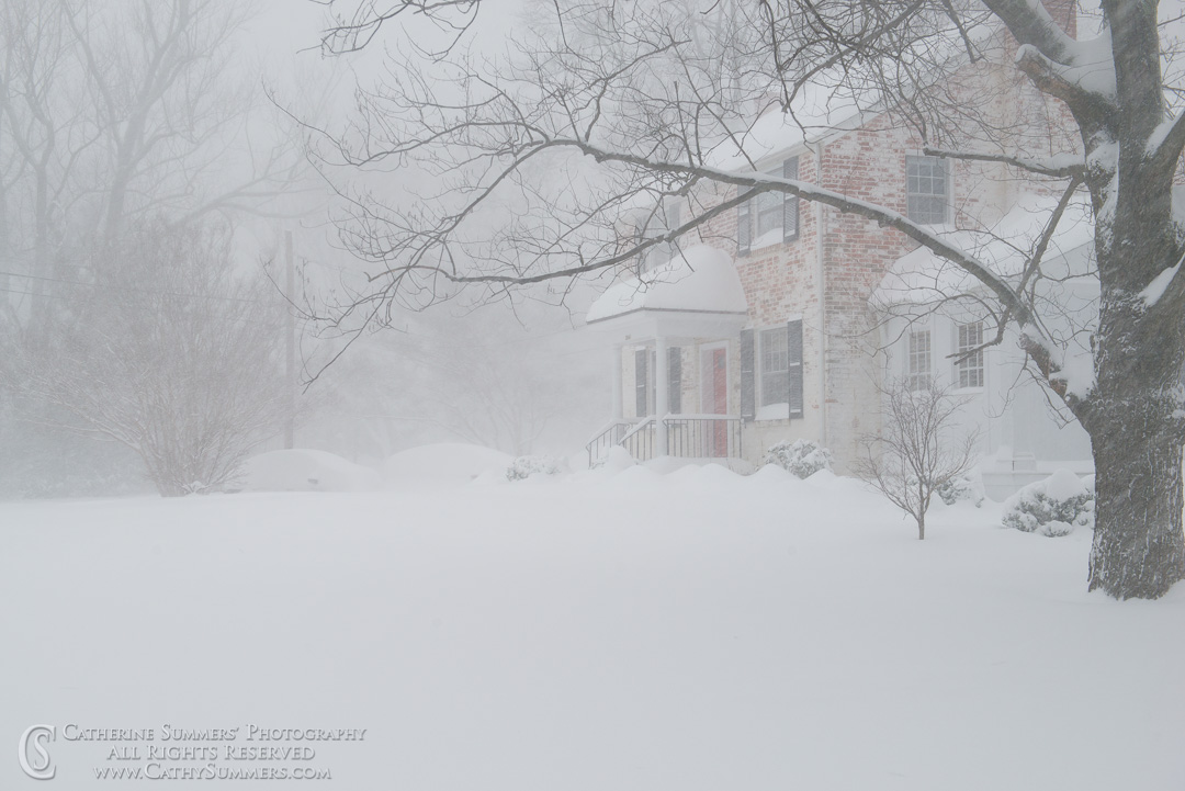 Snowy House: Falls Church, Virginia