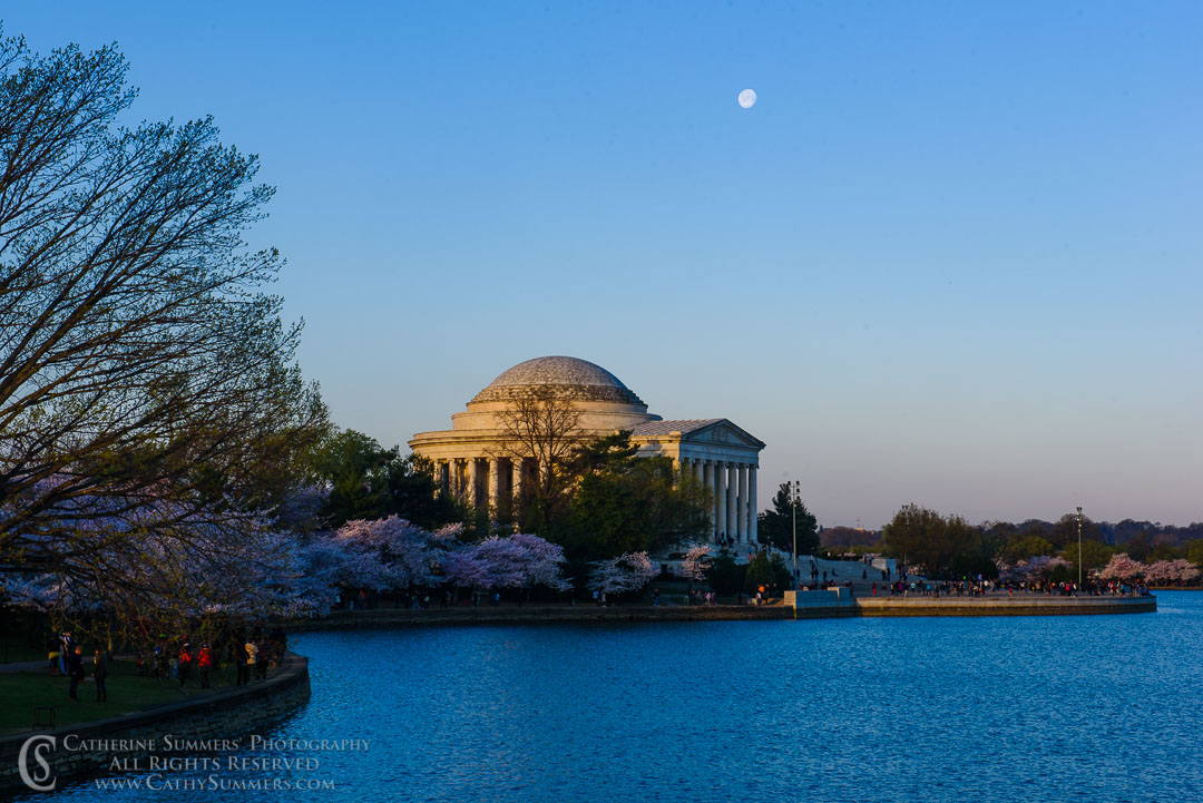 Full Moon, Cherry Trees and Jefferson Memorial at Sunrise with Reflection in Tidal Basin:  Washington, DC