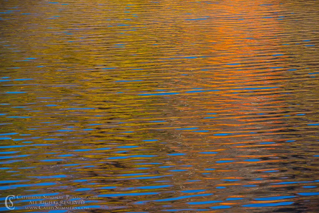 Autumn Colors Reflected in Widewater: C&O Canal National Historic Park, Maryland