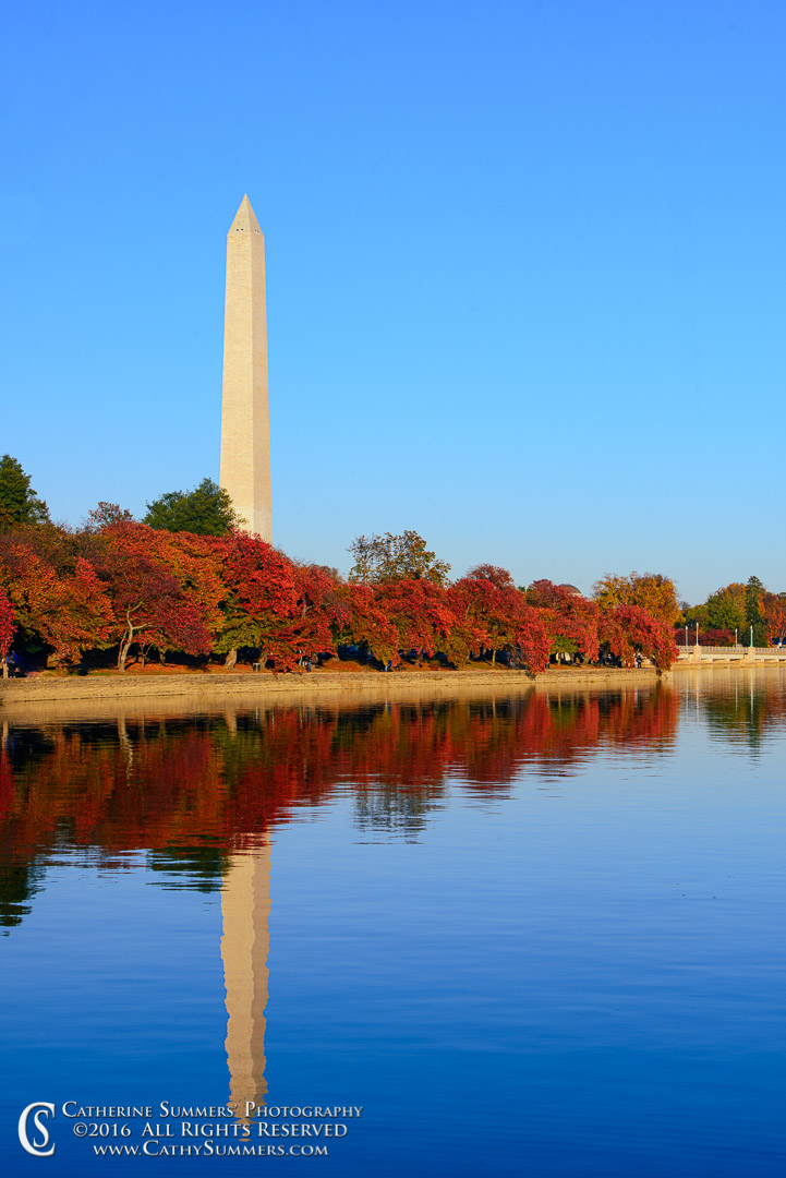 Washington Monument and Autumn Cherry Trees Reflected in the Tidal Basin: Washington, DC