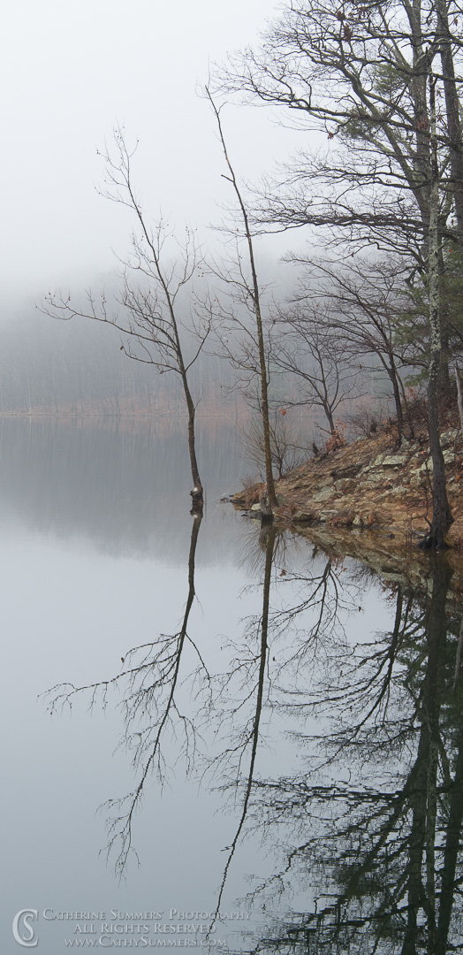 Reflections / Sleepy Hollow Resevior in the Fog: Albemarle County, Virginia