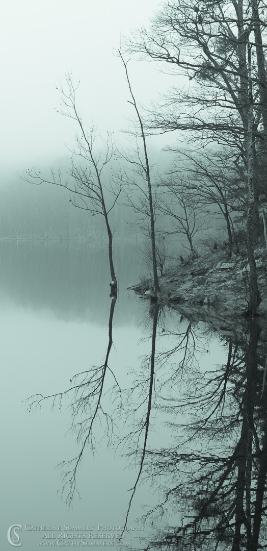Reflections / Sleepy Hollow Resevior in the Fog: Albemarle County, Virginia