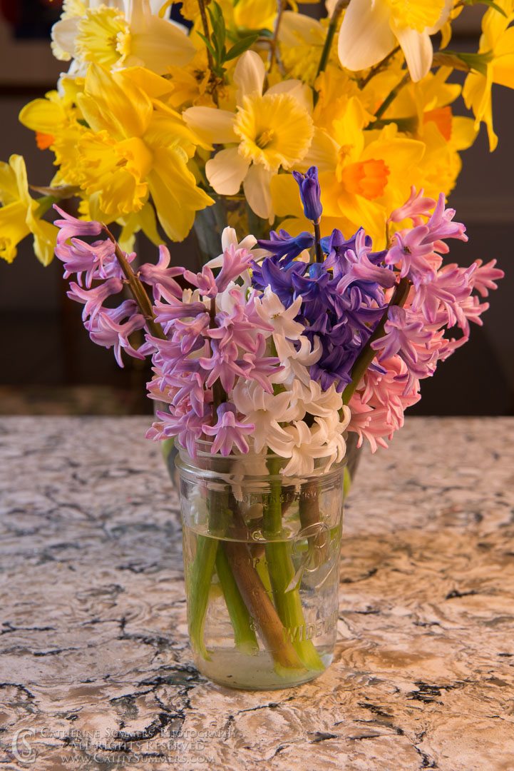 Spring Flowers in a Mason Jar: Virginia