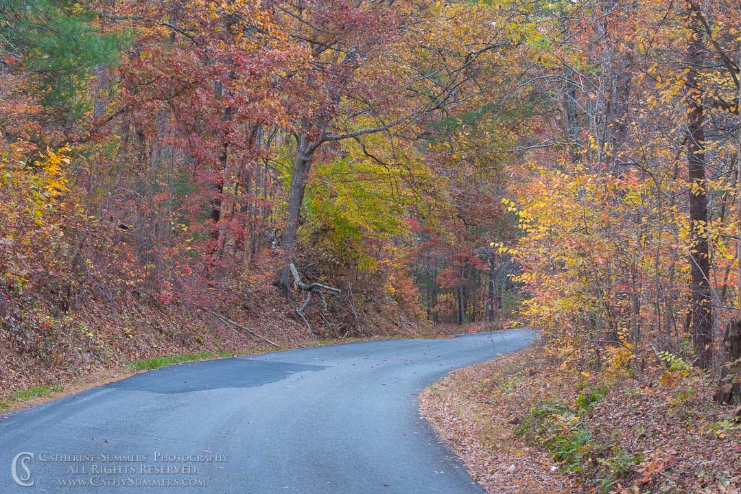 Autumn Colors on a Curving Country Road: Albemarle County, Virginia