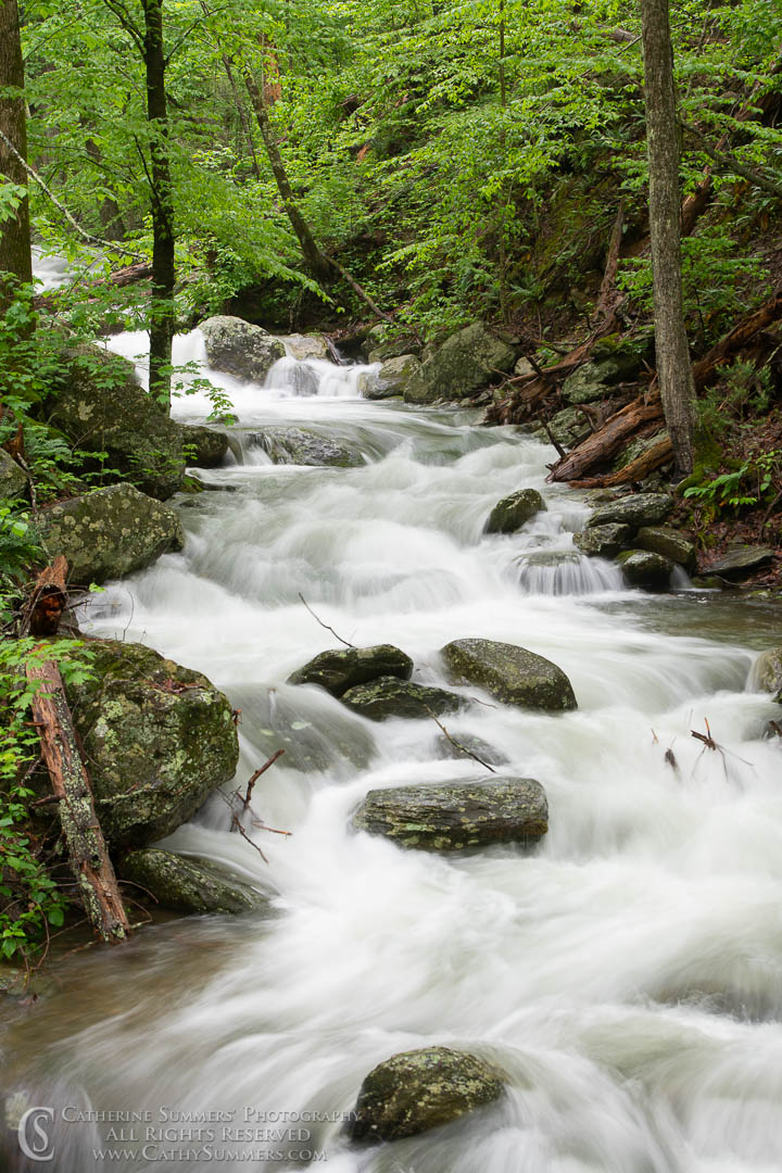Long Exposure to Blur the Water - Rose River - 1/3 Second: Shenandoah National Park, Virginia