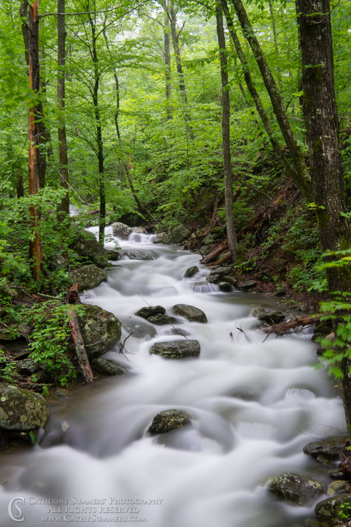 Long Exposure to Blur the Water - Rose River - 30 Seconds with ND Filter: Shenandoah National Park, Virginia