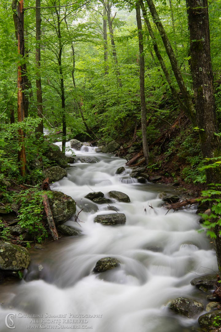 Long Exposure to Blur the Water - Rose River - 5 Seconds with ND Filter: Shenandoah National Park, Virginia