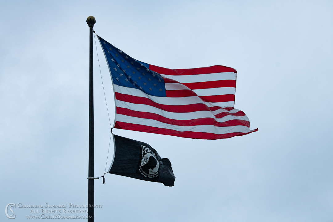 Flags against a Gray Sky at the World War II Memorial: Washington, DC