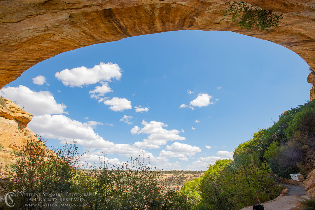 Blue Sky Overhead - Step House: Mesa Verde National Park