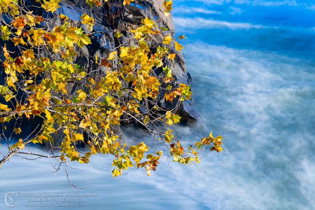 Golden Leaves at Sunrise at Great Falls of the Potomac: Great Falls National Park, Virginia