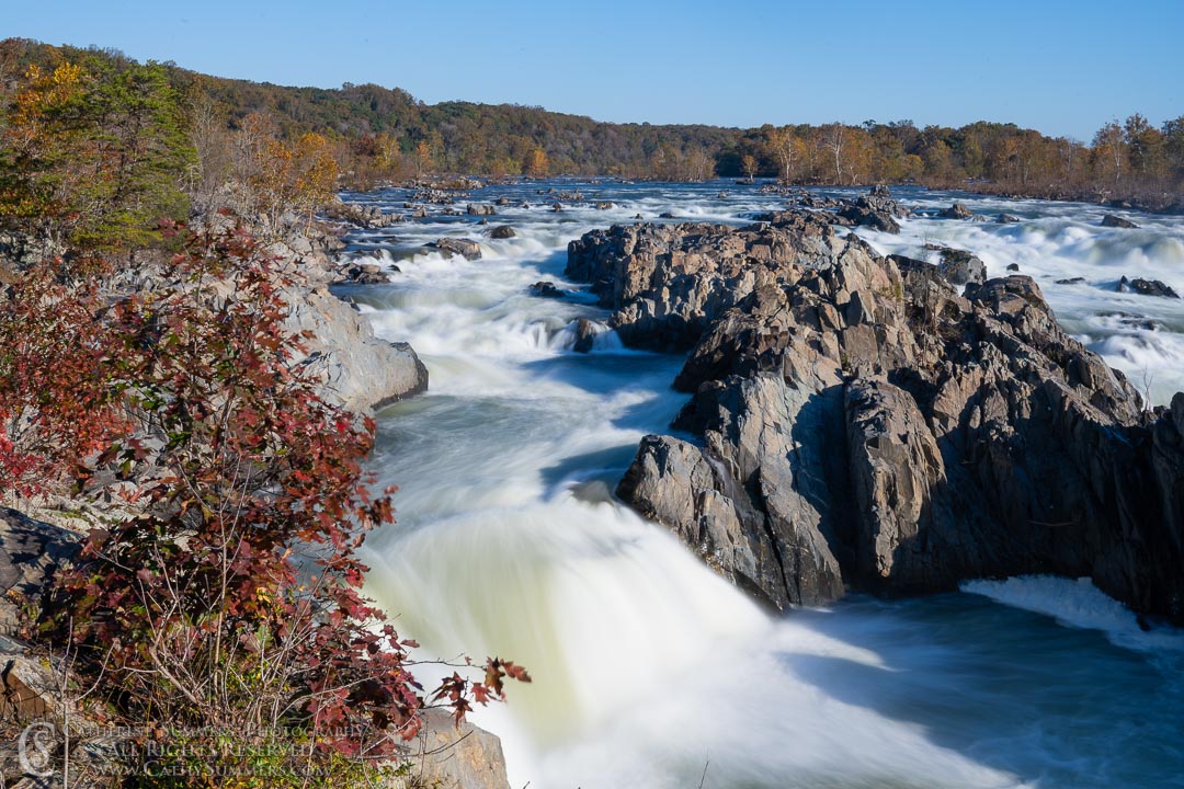 Red Oak Tree and the Virginia Side of Great Falls on an Autumn Morning with Long Exposure to Blur the Water: Great Falls National Park, Virginia