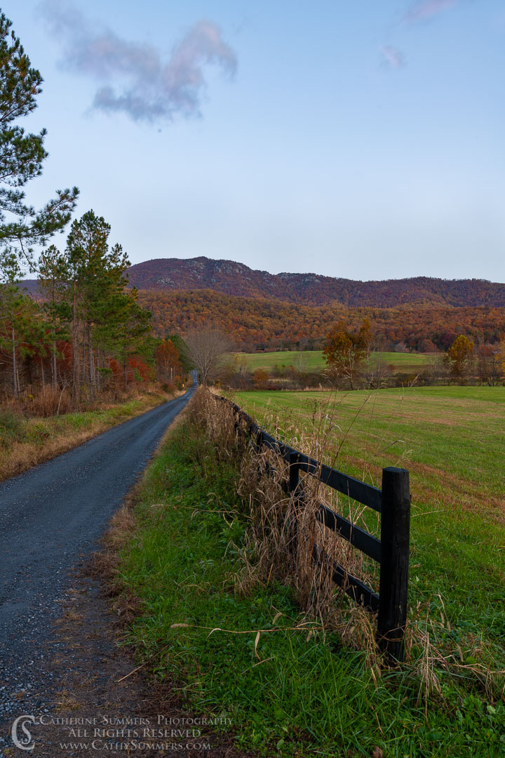 Gravel Road Leading to Old Rag Mountain Before Sunrise on an Autumn Morning: Madison, Virginia