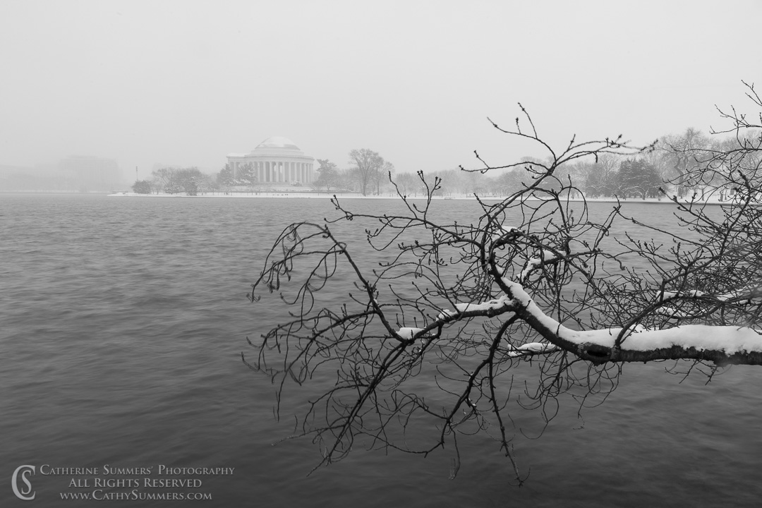 Cherry Tree, Tidal Basin and Jefferson Memorial in the Snow