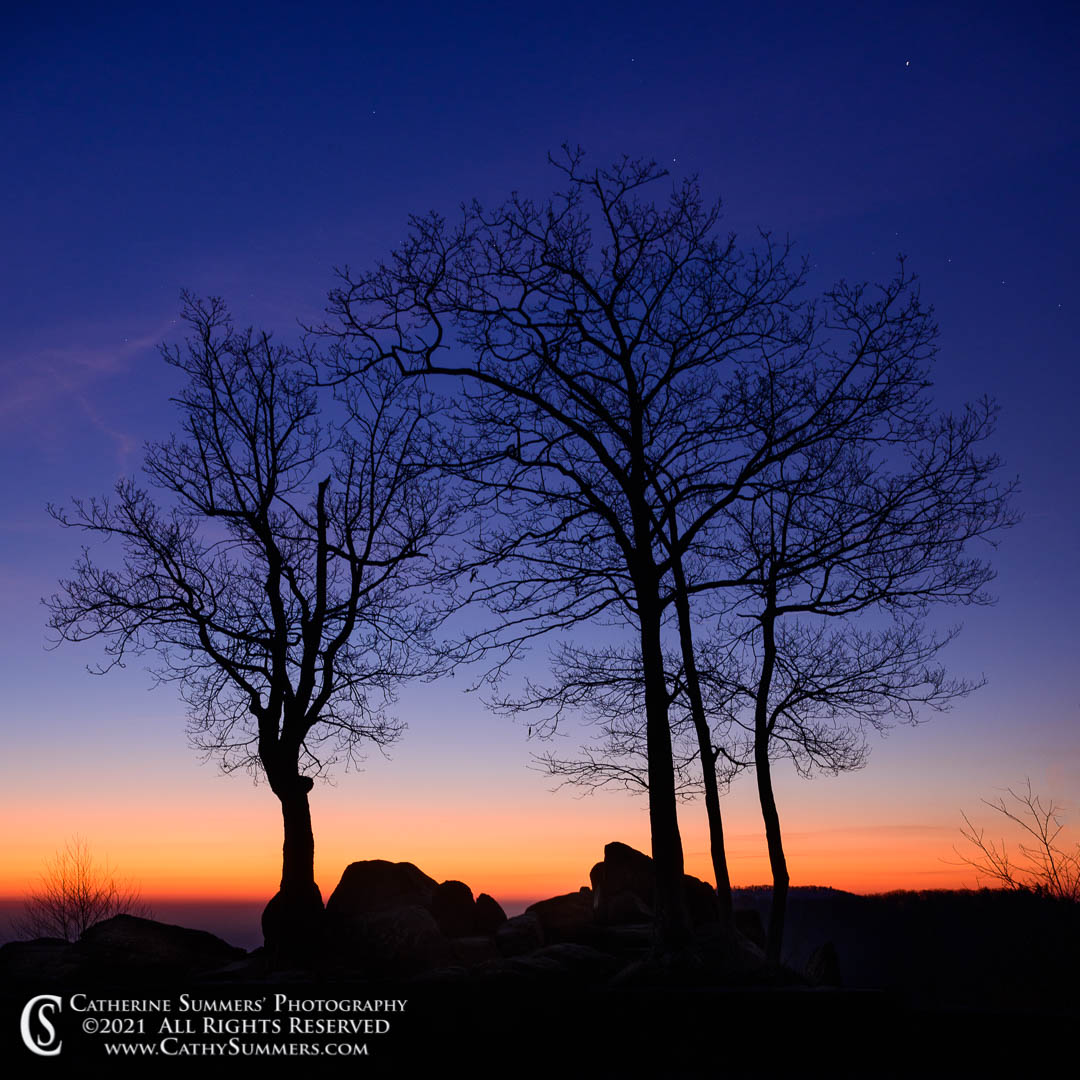 Stars Fading Into the Approaching Sunrise at the Hazel Mountain Overlook