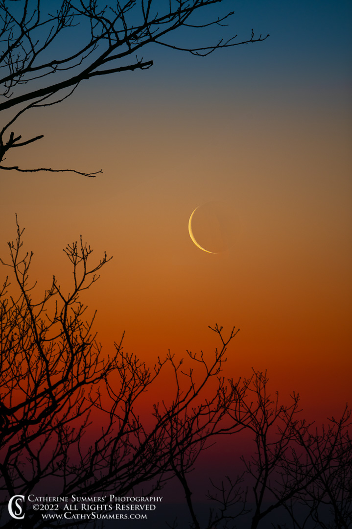 Waning Crescent Moon in the Dawn Sky of a Late Winter Morning