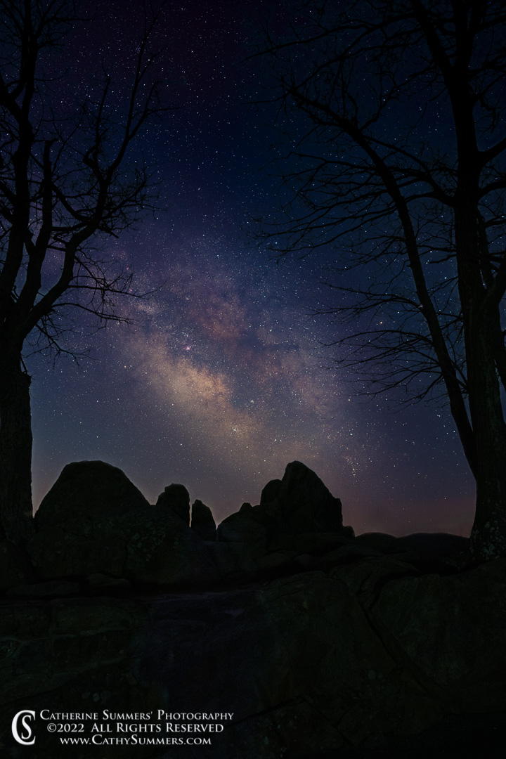 Milky Way zFramed by the Trees of the Hazel Mountain Overlook in Shenandoah National Park