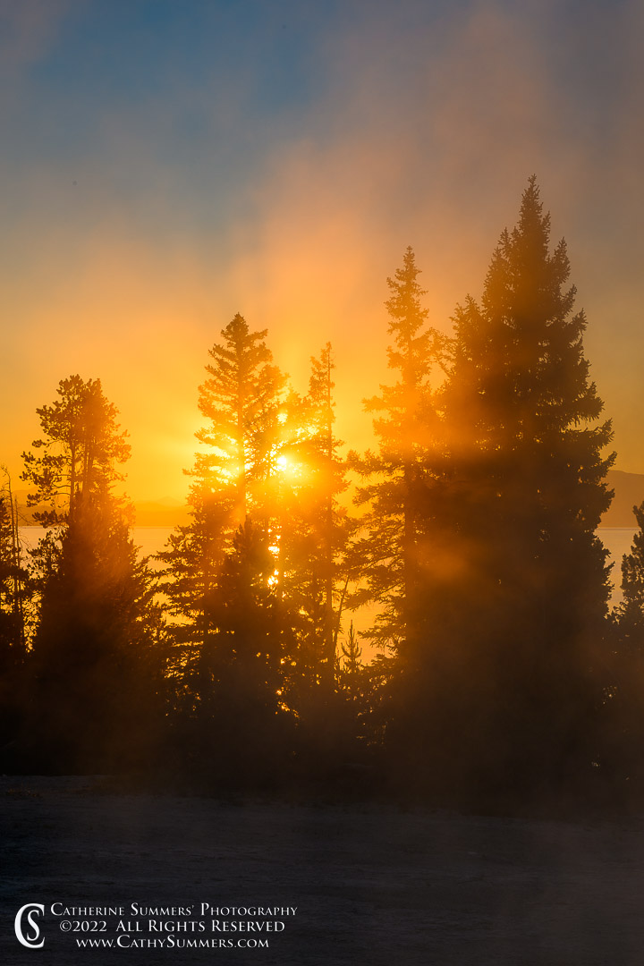 Sunlight Through the Trees and Steam at the West Thumb Geyser Basin, Yellowstone National Park