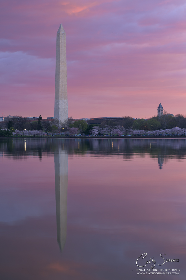 Washington Monument and Reflection in the Tidal Basin Just Before Sunrise - 4 photo vertical panorama