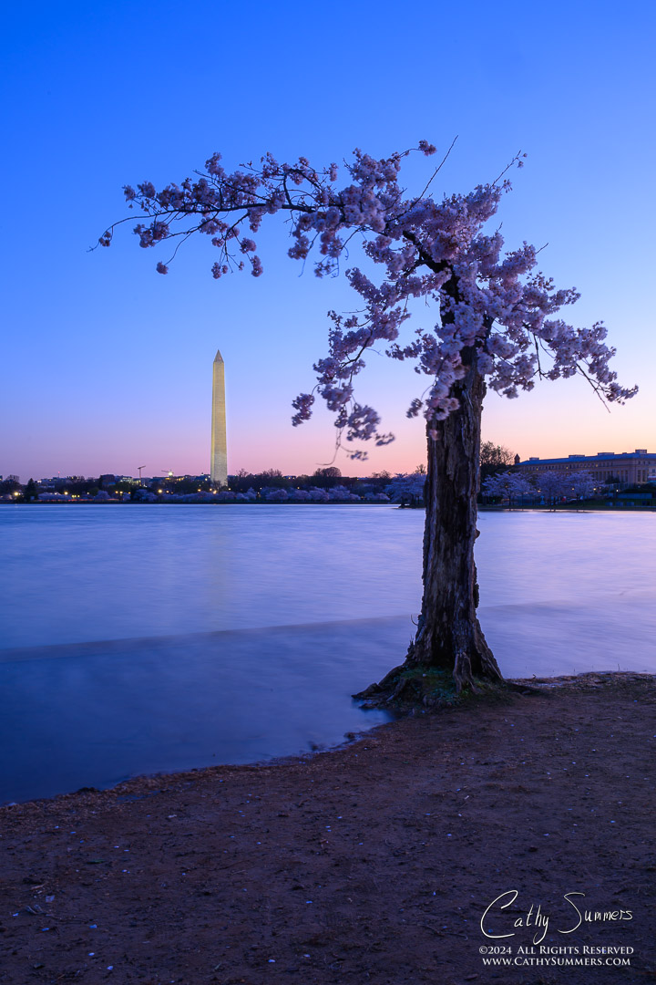 Stumpy and the Washington Monument as the Tide Comes In