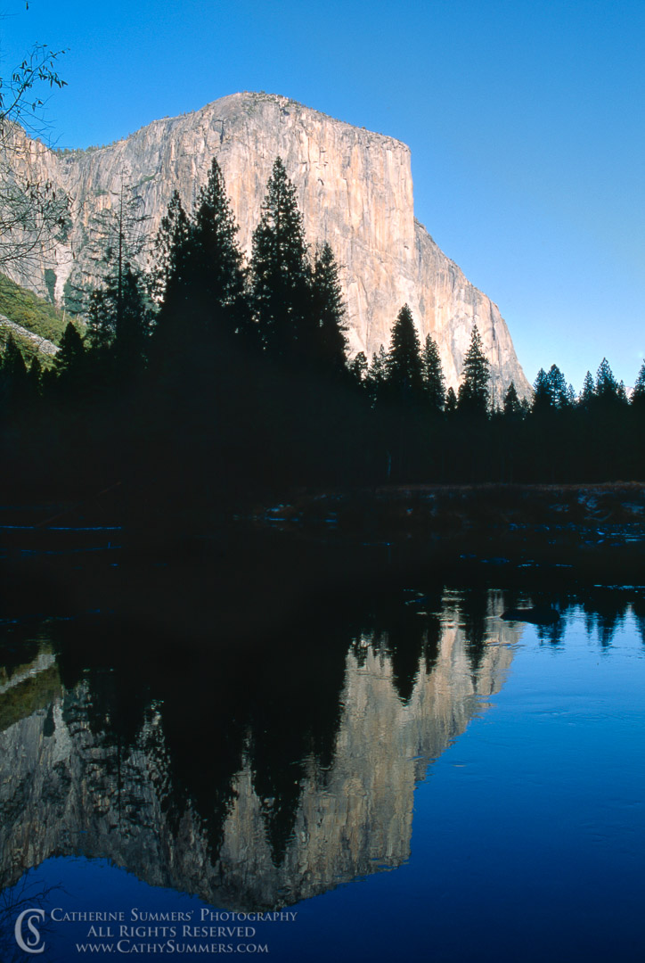 Title: El Capitan and Reflection in Merced River; Keywords: El Capitan, Merced River, reflection, vertical, wilderness, Yosemite National Park