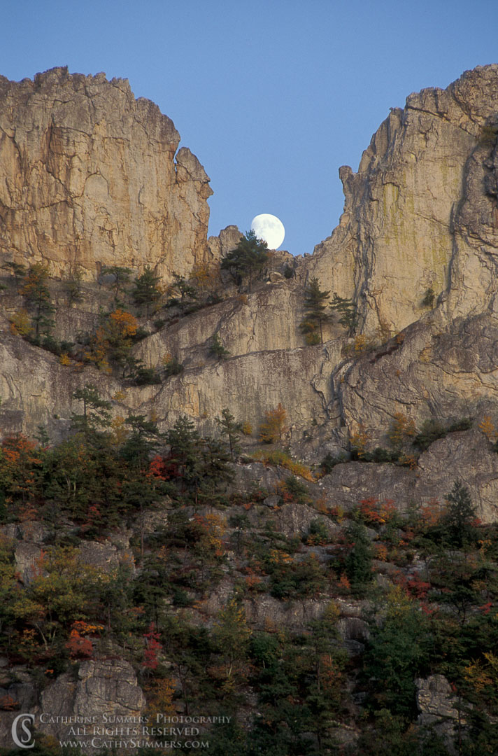 92_1428: vertical, moon, autumn, moonrise, Seneca Rocks, West Virginia, moon rise
