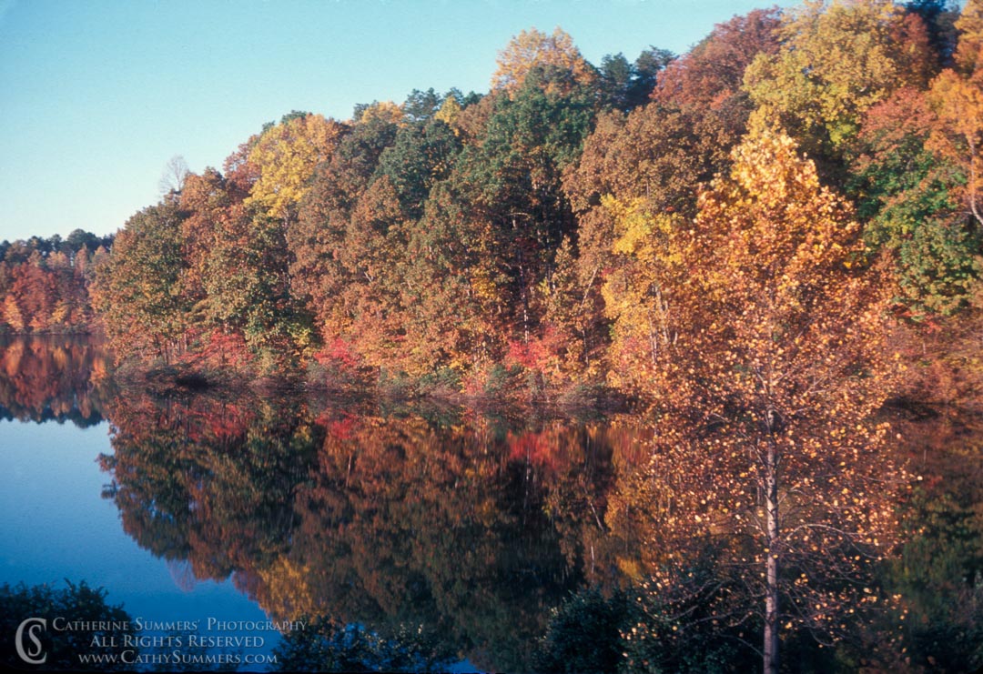 Autumn Morning Reflection in Lake Albemarle: Albemarle County, Virginia