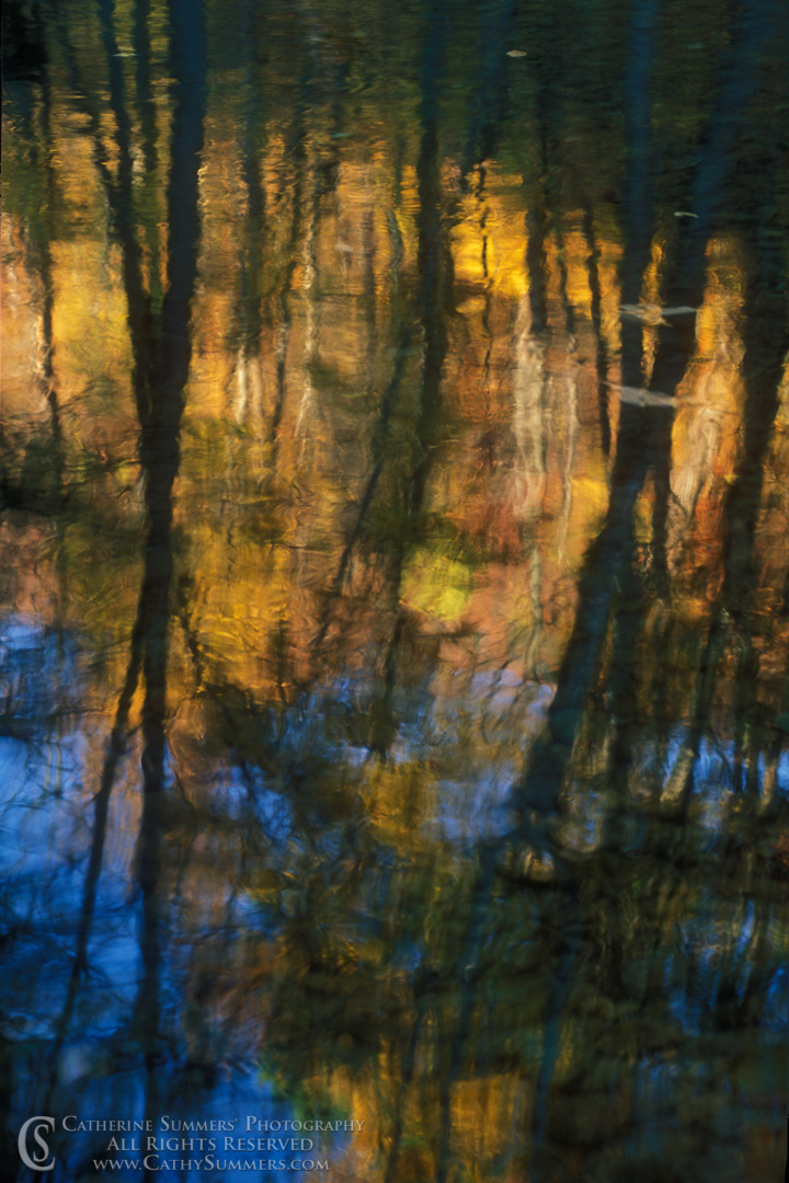 Rose River: Autumn Reflections #1: Shenandoah National Park, Virginia