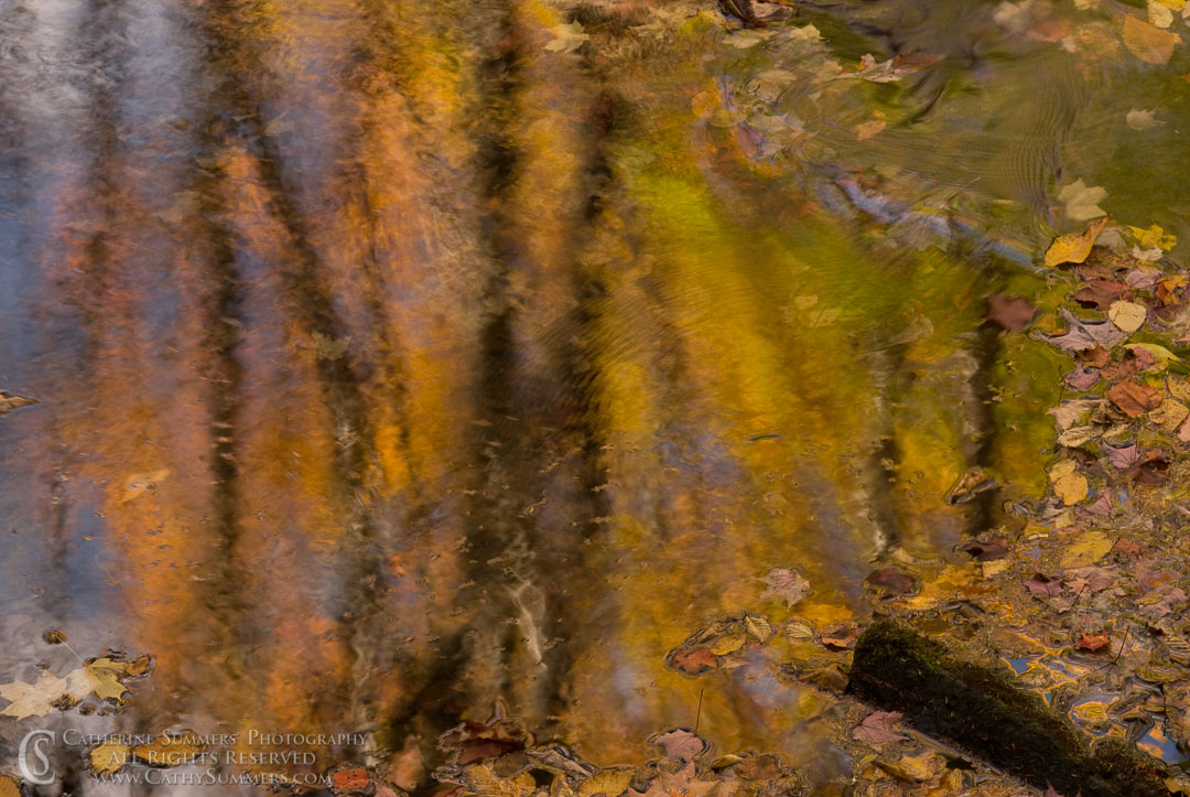 Fall Colors - Reflections in Seneca Creek, #2: West Virginia