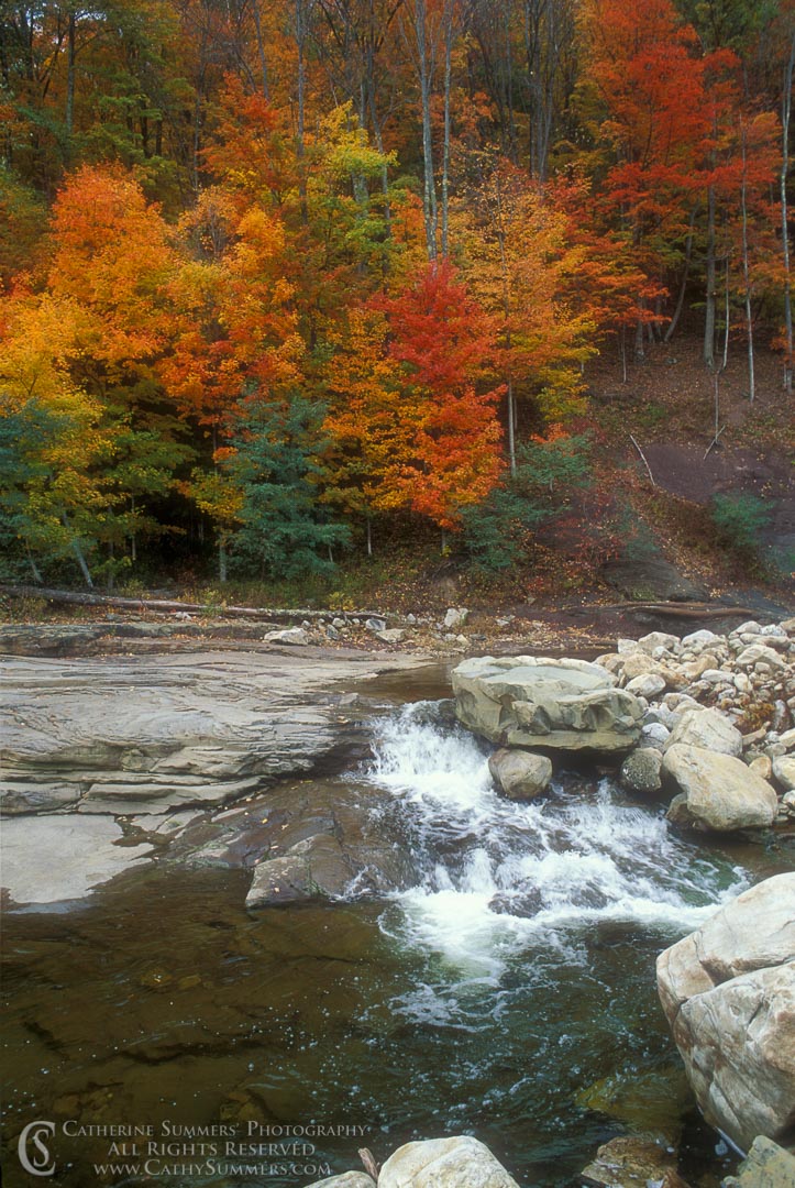 Fall Colors on Red Creek #2: Dolly Sods, West Virginia