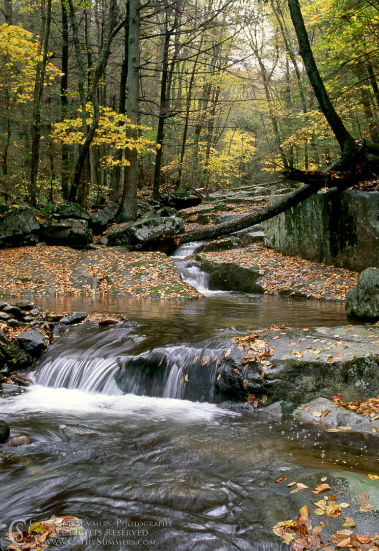 Fall Colors in Dark Hollow: Shenandoah National Park, Virginia