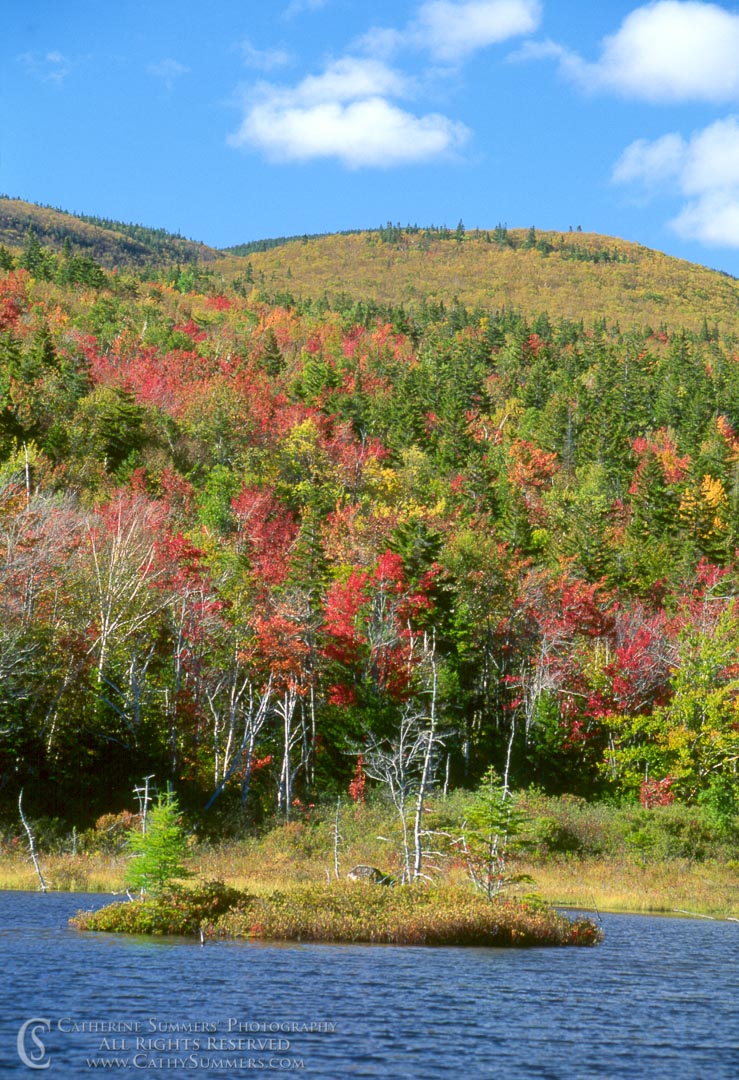 Title: Fall Colors at Zealand Pond; Keywords: autumn, New Hampshire, White Mountains, Zealand Pond
