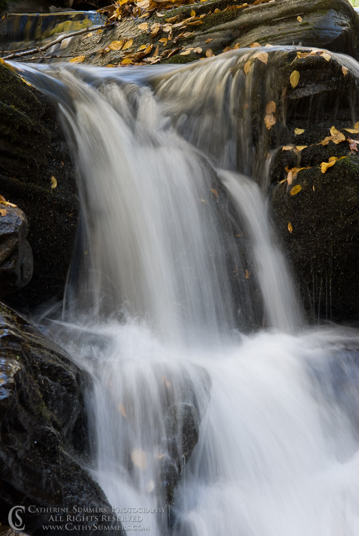 Waterfall on Seneca Creek #1: West Virginia