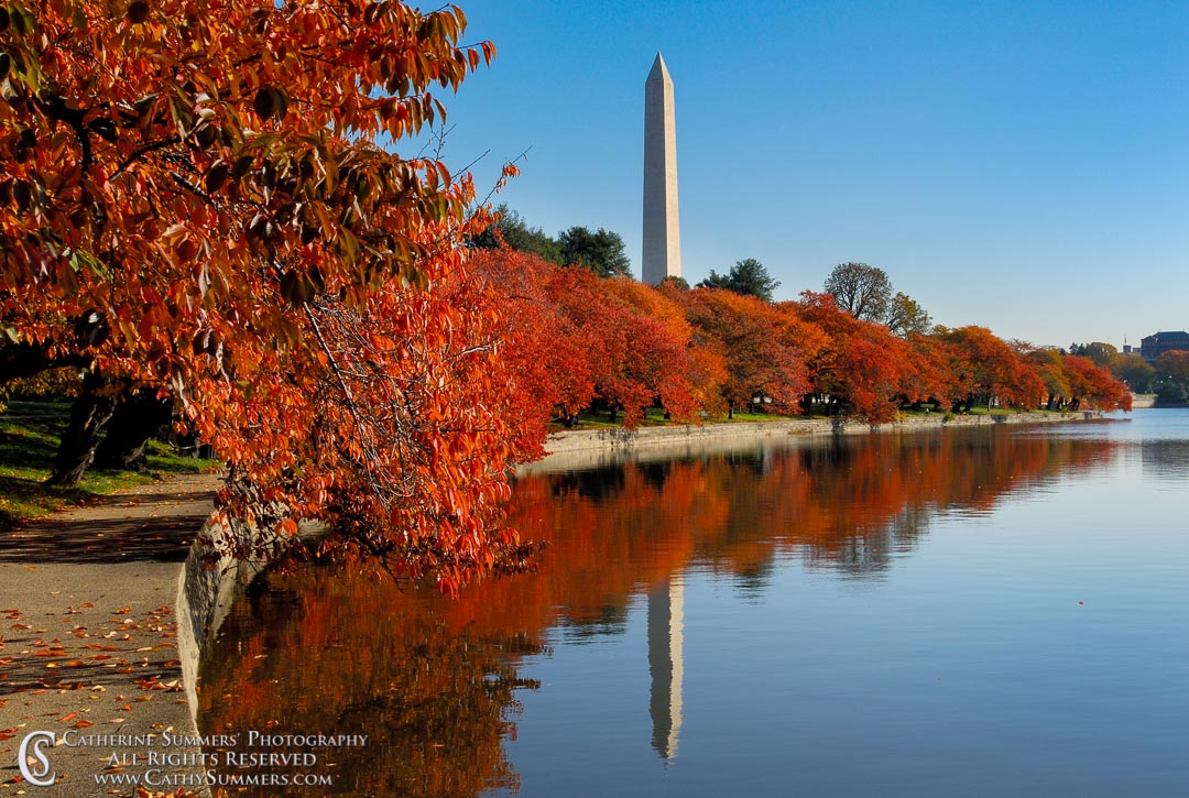 Washington Monument and Reflections in the Tidal Basin, on an Autumn Morning - #2: Washington, DC