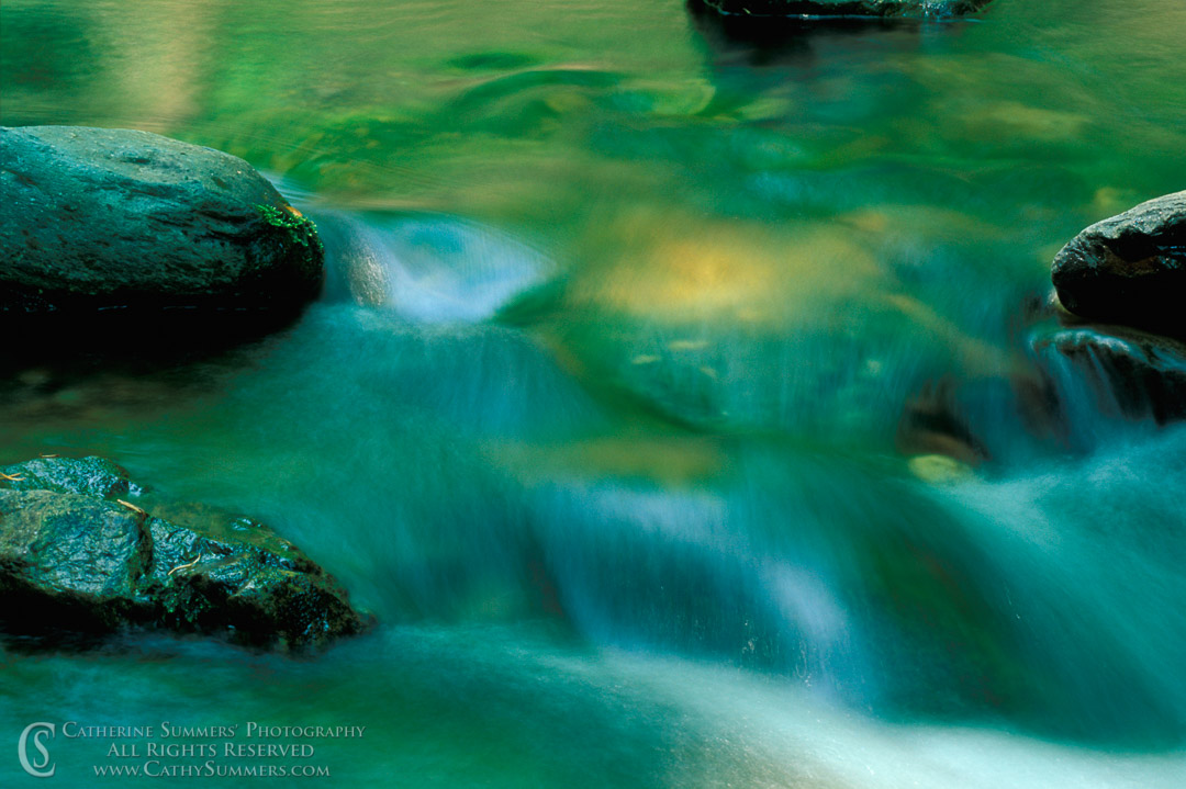 Rose River: Summer Reflection #2: Shenandoah National Park, Virginia