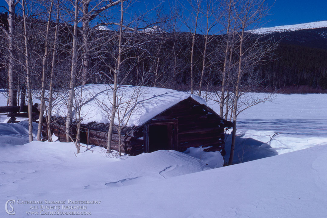 Abandoned Log Cabin in Snow Drift: Colorado